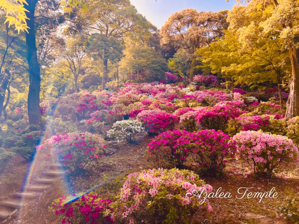 Temple renowned for beautiful azaleas.